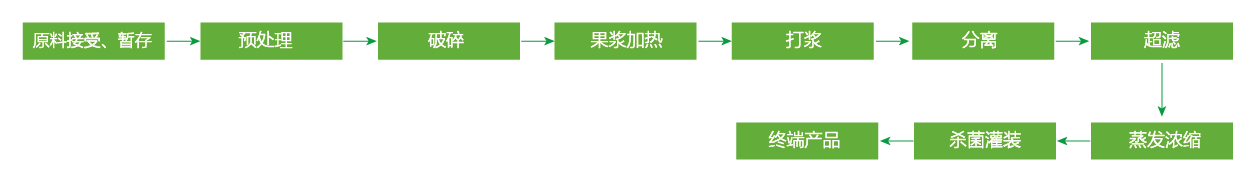 藍(lán)莓、草莓、桑葚濃縮汁